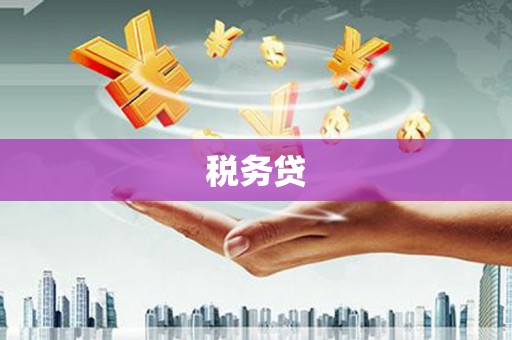 横栏税务贷