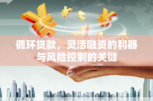横栏循环贷款，灵活融资的利器与风险控制的关键