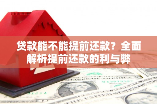 横栏贷款能不能提前还款？全面解析提前还款的利与弊