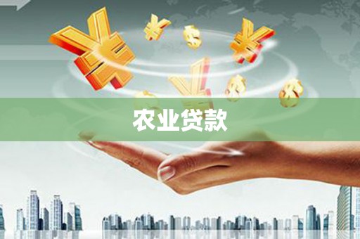 横栏农业贷款