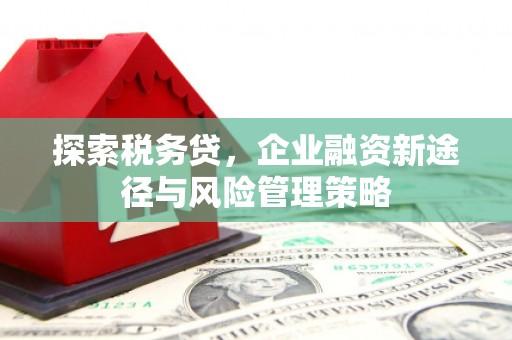 横栏探索税务贷，企业融资新途径与风险管理策略