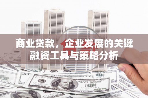 横栏商业贷款，企业发展的关键融资工具与策略分析