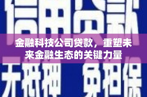 横栏金融科技公司贷款，重塑未来金融生态的关键力量
