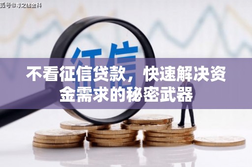 横栏不看征信贷款，快速解决资金需求的秘密武器