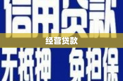横栏经营贷款