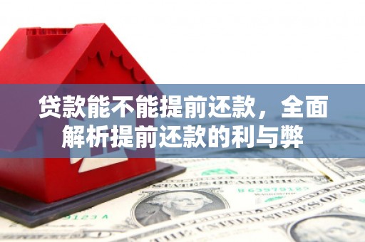横栏贷款能不能提前还款，全面解析提前还款的利与弊