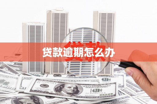 横栏贷款逾期怎么办