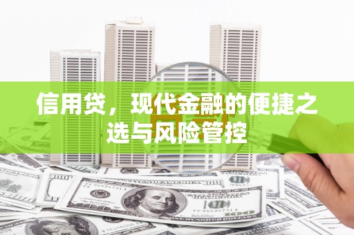 横栏信用贷，现代金融的便捷之选与风险管控