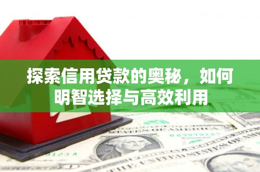 横栏探索信用贷款的奥秘，如何明智选择与高效利用