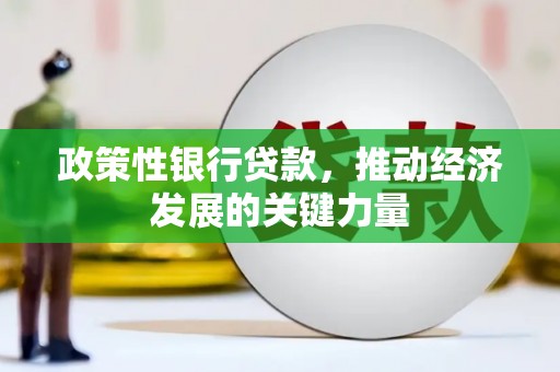 横栏政策性银行贷款，推动经济发展的关键力量