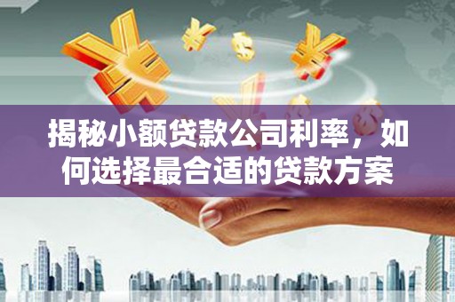 横栏揭秘小额贷款公司利率，如何选择最合适的贷款方案