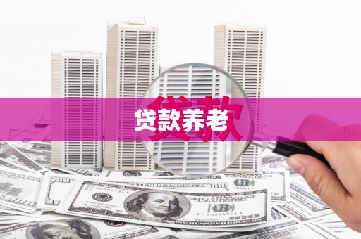 横栏贷款养老