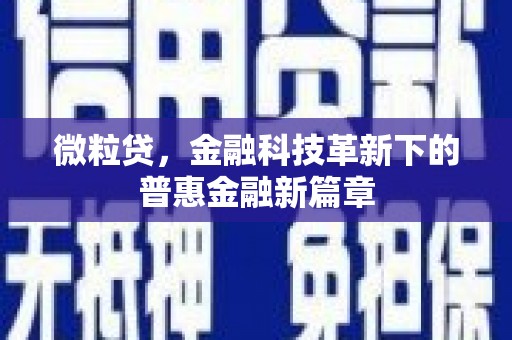 横栏微粒贷，金融科技革新下的普惠金融新篇章