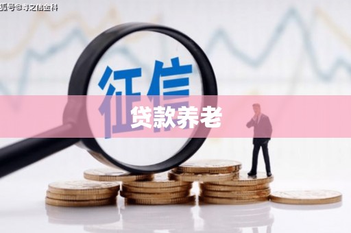 横栏贷款养老