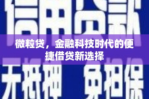 横栏微粒贷，金融科技时代的便捷借贷新选择