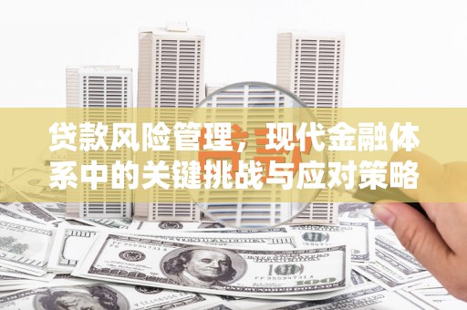 横栏贷款风险管理，现代金融体系中的关键挑战与应对策略