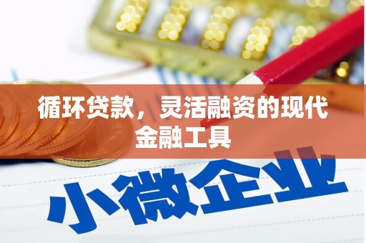 横栏循环贷款，灵活融资的现代金融工具