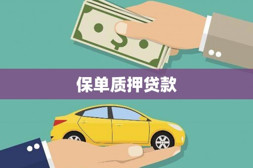 横栏保单质押贷款