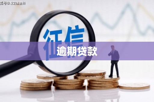 横栏逾期贷款