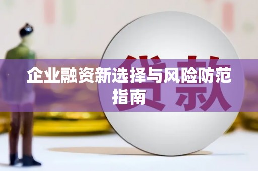 横栏企业融资新选择与风险防范指南